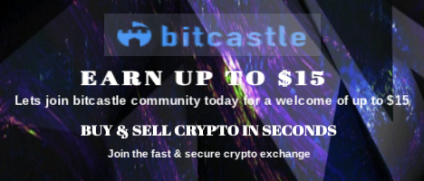 Bitcastle
