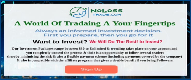 No Loss Trade - Trading and Investment Platform